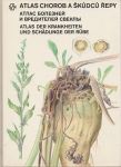 Atlas chorob a škůdců řepy - Benada