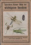 Schreibers kleiner Atlas der wichtigsten Insekten