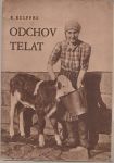 Odchov telat - Rulffes