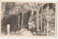 Moravský Kras-Punkevní jeskyně