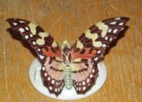Porcelánový motýl Rosenthal a/s